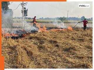 Punjab: पराली जलाने के चलते फिरोजपुर में हुई एक किसान की मौत, तीन झुलसे