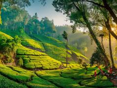 Explore The Charming Yet Hidden Towns Nearby Kotagiri Of Tamil Nadu