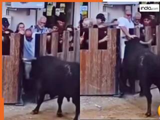 Wild Animal Video: सांड को हल्के में लेने की गलती कर बैठा शख्स, ऐसी मार पड़ी बेचारे की जान ही सूख गई | देखें वीडियो