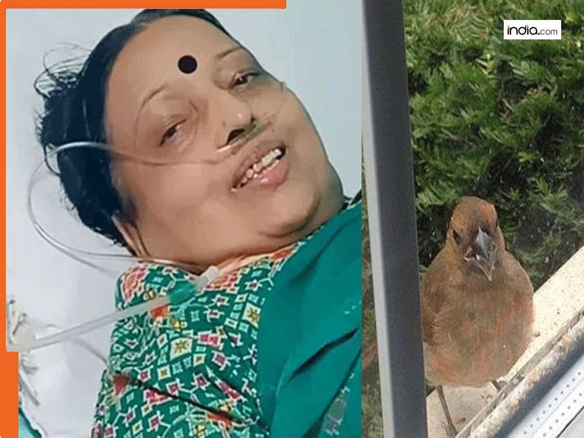 शारदा सिन्हा को 54 घंटे पहले ही हो गया था मौत का आभास, 'कर रही थीं चिड़िया से बात'