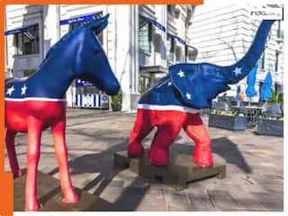 US Presidential Election: अमेरिकी चुनाव को क्यों कहा जाता है हाथी बनाम गधा?