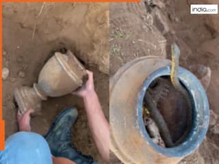 Viral Video: जमीन की खुदाई में मिला खजाने से भरा मटका, सांप और मेंढक करे रहे थे रक्षा | देखें वीडियो