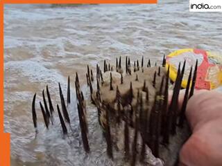 Viral Video: समंदर में दफन थी ये खतरनाक चीज, मेटल डिटेक्टर की मदद से युवक ने खोज निकाला, जिसने भी देखा रह गया दंग