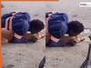 Viral Video Today: शख्स पर भौंककर बुरा फंसा डॉगी, पटककर वहीं लगा दांत काटने | देखें वीडियो