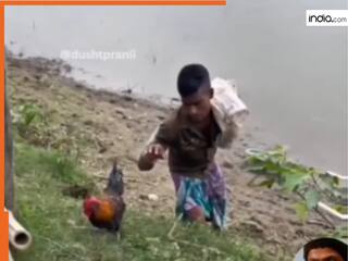 Murga Chor Ka Video: चालाकी से मुर्गा चुराने आया था चोर, मगर जो हुआ पेट पकड़कर हंसेंगे आज | देखें वीडियो