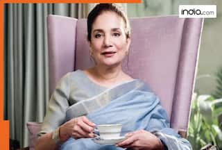 Meet Mira Kulkarni, woman who built a Rs 10000 crore business empire starting in a garage, her net worth is Rs..., her business is...