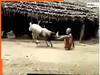 Chachaji Ka Video: चाचाजी से टकराकर हिल गया बकरा, बाहुबली जैसी ताकत ने उड़ाए होश | देखें वीडियो