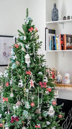 घर की इस दिशा में लगाएं क्रिसमस ट्री, दूर होगा वास्तु दोष