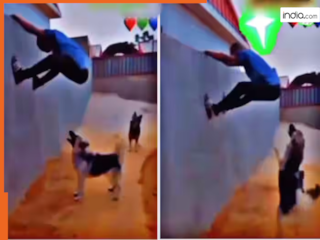Funny Video Today: डॉगी से पंगा लेकर बुरा फंसा शख्स, पलटवार होते ही लगा बिलबिलाने | देखें वीडियो