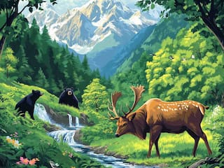 Gulmarg To Awantipora: 6 Amazing Places To Visit In Srinagar In 2025