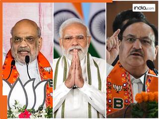 दिल्ली में बिना CM फेस के मैदान में उतरने की तैयारी में BJP? जानिए विधानसभा चुनाव के लिए क्या हो सकता है प्लान