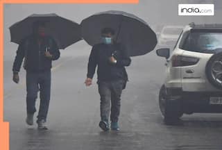 Delhi Rains: Cold Wave intensifies in Capital City, IMD predicts more showers; check weather forecast