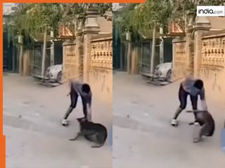 Viral Video: गलत आदमी से पंगा ले बैठा डॉगी, भौंकते ही बेचारे के तोते उड़ गए | देखें वीडियो