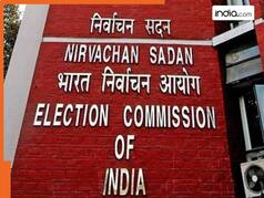 EC ने जारी किया 'दुनिया का सबसे बड़ा चुनावी डेटासेट', 2024 के लोकसभा इलेक्शन में बना विश्व रिकॉर्ड; पढ़ें 10 मुख्य बातें