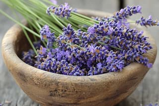 10 Health Benefits Of Lavender To Boost Your Winter Wellness