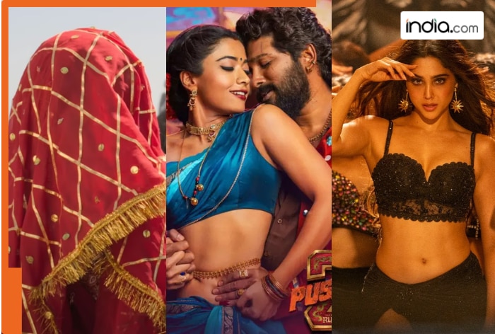 Low-budget hit films of 2024: These 5 films beat Allu Arjun's Pushpa 2 despite it a roaring success at box-office, their names are...