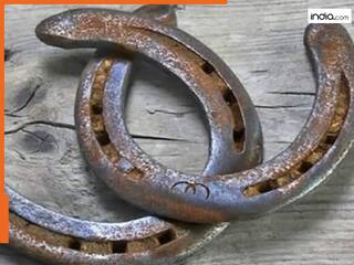 New Year 2025 Vastu: नए साल में घर की इस दिशा में लगाएं घोड़े की नाल, कभी खाली नहीं होगी तिजोरी