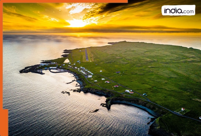 An island with 20 people and 1000000 birds, it gives certificates to tourists for...