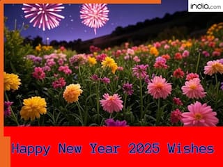 Happy New Year 2025 Wishes in Hindi: करीबी लोगों को सबसे खास अंदाज में कहें हैप्पी न्यू ईयर, शेयर करें ये संदेश