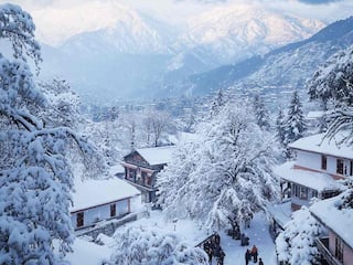 Himachal Pradesh's Dhauladhar Peaks Covered In Snow As Coldwave Hits Dharamshala