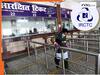 IRCTC का सर्वर फिर Down, इसी महीने दूसरी बार हुआ ऐसा- जानें क्या है अपडेट