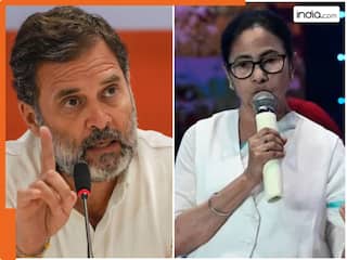 क्या राहुल पर नहीं रहा 'इंडिया' को भरोसा? CM ममता को नेतृत्व सौंपने की आवाज हुई तेज, इस दिग्गज नेता ने किया सपोर्ट