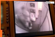 Shocking! Couple caught on cam having sex inside plane, crew leaked X-rated video and then...