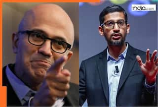 Big blow to Noel Tata’s TCS, Sundar Pichai’s Google, Satya Nadella’s Microsoft and…, US Senators question H-1B visa filings, after layoff of…