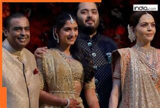Before Anant Ambani-Radhika Merchant, this Indian billionaire stunned the world with world's most expensive wedding costing Rs...