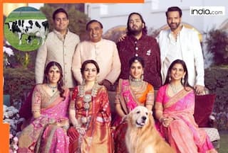 Mukesh Ambani and family consume milk from this cow which drinks RO water, rests on special mattresses, its...