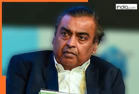 india.com top news