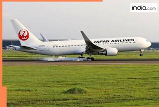 Japan Airlines hit by cyberattack; flights delayed, ticket sales suspended