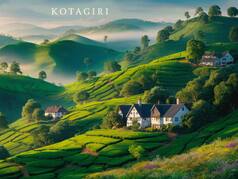 Essential Travel Tips For First-Time Visitors To Kotagiri Of Tamil Nadu