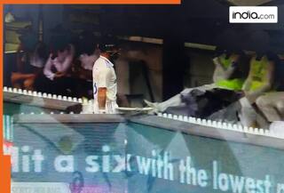 Virat Pink Ball Test moment: Umpires send Virat Kohli back following KL Rahul 'No-Ball'  wicket  incident