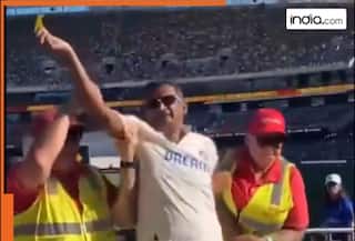 WATCH: 'Sandpaper' controversy resurfaces in Adelaide as Indian fan gets removed  by  security