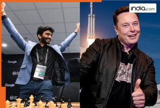 Elon Musk congratulates D Gukesh after the grandmaster becomes youngest classical chess world champion