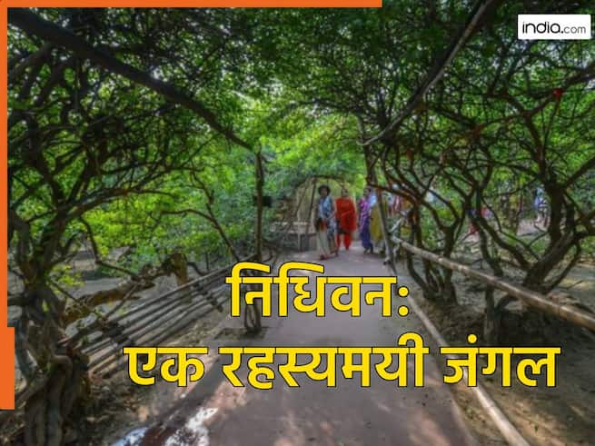 निधिवन: एक ऐसा रहस्यमयी जंगल, जहां आज भी गोपियों संग रासलीला करने आते हैं श्रीकृष्ण