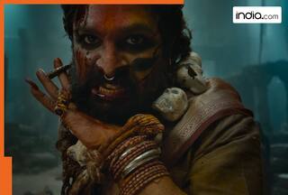 Pushpa 2: Allu Arjun   s film has made 232.75% profit, but it still needs to earn 394.5 crore to beat...