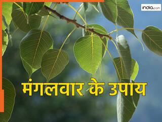 Mangalwar Ke Upay: दुर्भाग्य को सौभाग्य में बदल सकते हैं 11 पीपल के पत्त, मंगलवार को करें ये उपाय