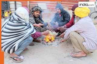 Cold wave conditions likely to grip North India from..., temperature to go down by..; Check IMD weather forecast