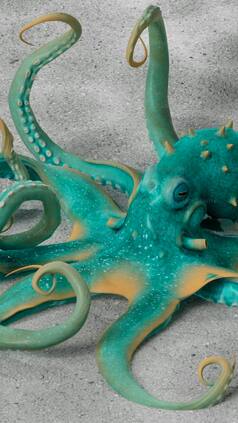 9 animals with minimal or no hair or fur