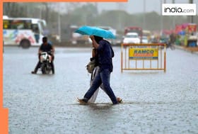 india.com top news