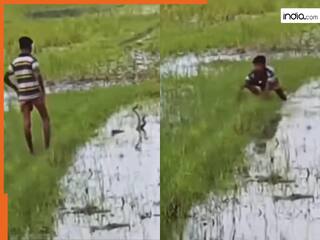 Naag Nagin Ka Video: प्रेम कर रहे नाग-नागिन के पास पहुंच गया लड़का, फिर जो हुआ रूह तक कांप जाएगी | देखें वीडियो