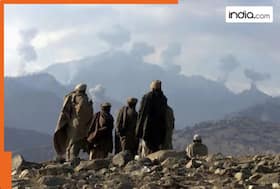 india.com top news