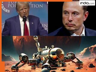 हमें मंगल ग्रह पर लैंड करना होगा, यह जल्द करेंगे, एलन मस्क से बोले Donald Trump