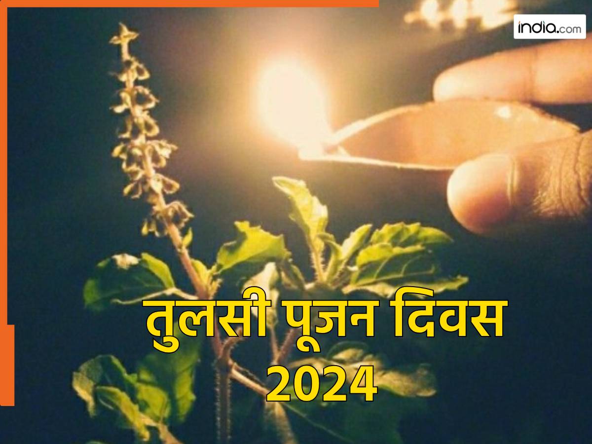 Tulsi Pujan Diwas 2024: तुलसी पूजन दिवस के दिन इन बातों का रखने का ध्यान, जानिए महत्व
