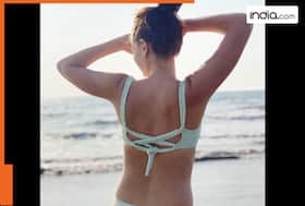 india.com top news
