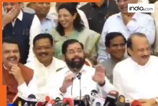 'Dada experienced in taking both morning, evening oath': Shinde banters with Pawar over 2019 Maharashtra govt formation