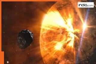 india.com top news