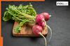 Are radish leaves healthy? 5 reason why you should not throw away 'mooli ke patte'